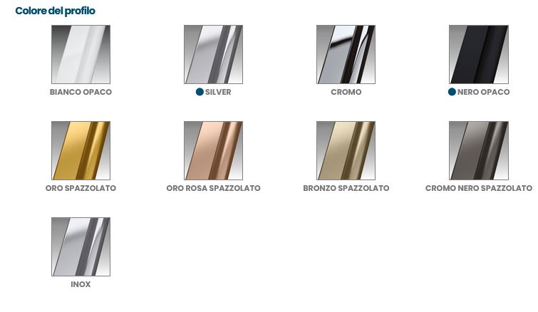 Box Doccia Riga 2B 70 Porta Doccia a 2 Battenti